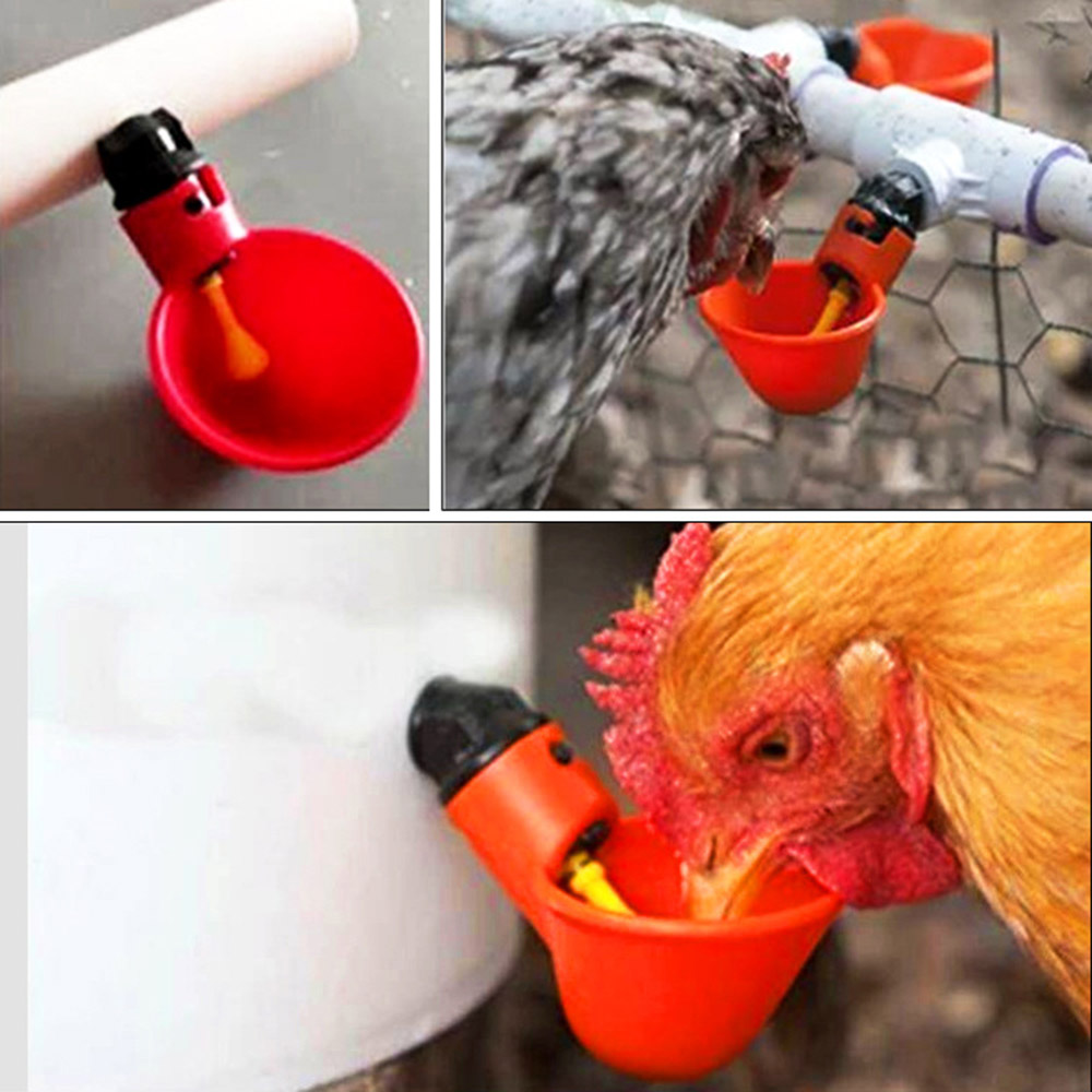 20pcs Bird Poultry Drinker Waterer Chook Automatic Cups Feeder